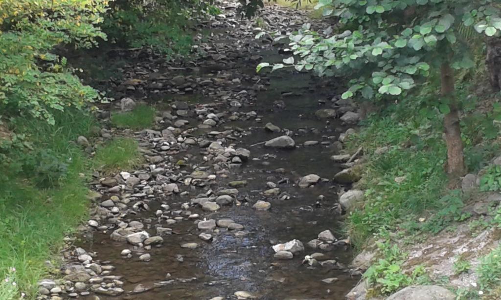 Pereszlényi Vendégház Visegrád Esterno foto